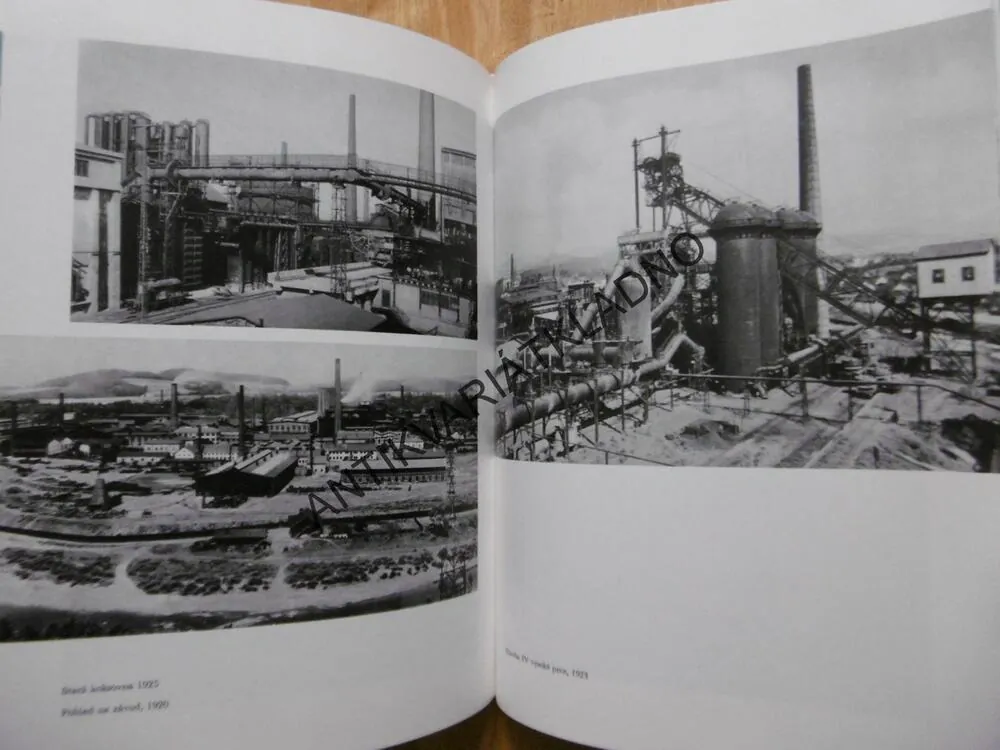 DĚJINY TŘINECKÝCH ŽELEZÁREN VŘSR 1839-1979, TŘINEC