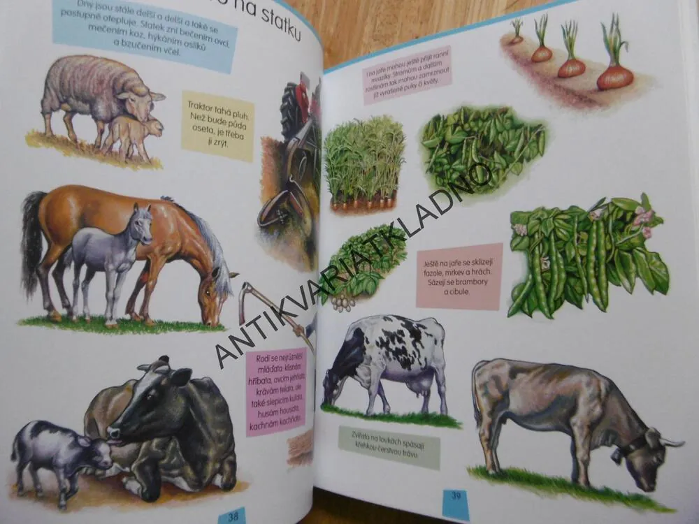 ENCYKLOPEDIE ŽIVOT NA VENKOVĚ, ZVÍŘATA A ROSTLINY, PŘÍRODA, **an