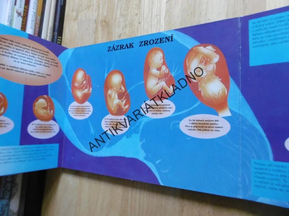 MOJE PRVNÍ KNIHA O LIDSKÉM TĚLE, **an