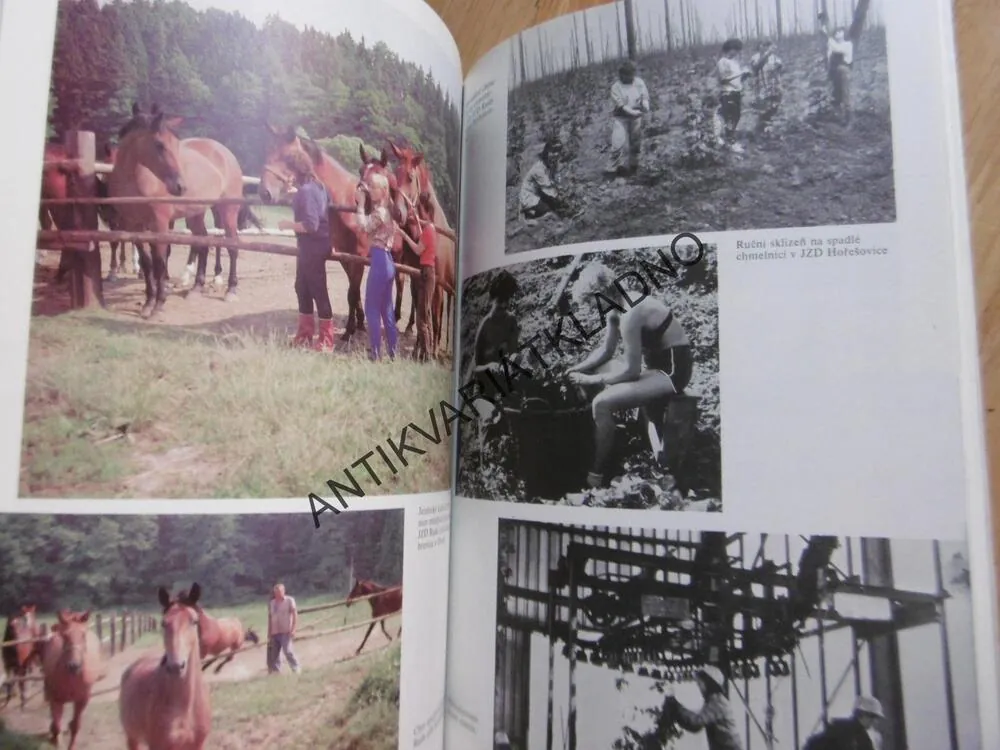 ČTYŘICET LET SOCIALISTICKÉHO ZEMĚDĚLSTVÍ KLADENSKA, OKR. KLADNO,ŠPECINGER 1989, **an