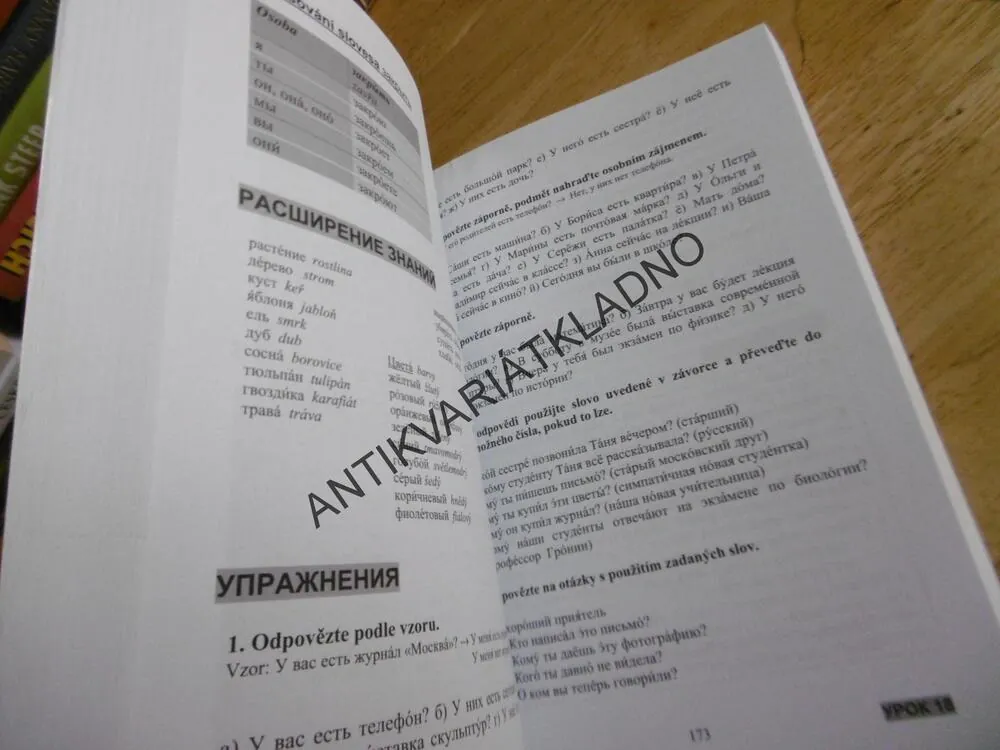 RUŠTINA PRO ZAČÁTEČNÍKY A SAMOUKY, RUSKÝ JAZYK, VČETNĚ CD!