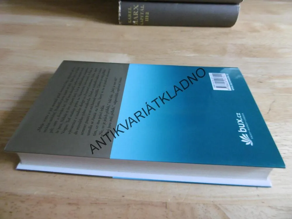 RODINNÉ POUTO, DANIELLE STEEL, **an