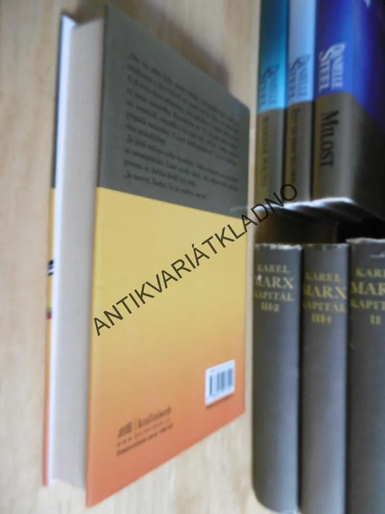 NEROVNÝ VZTAH, DANIELLE STEEL, **an