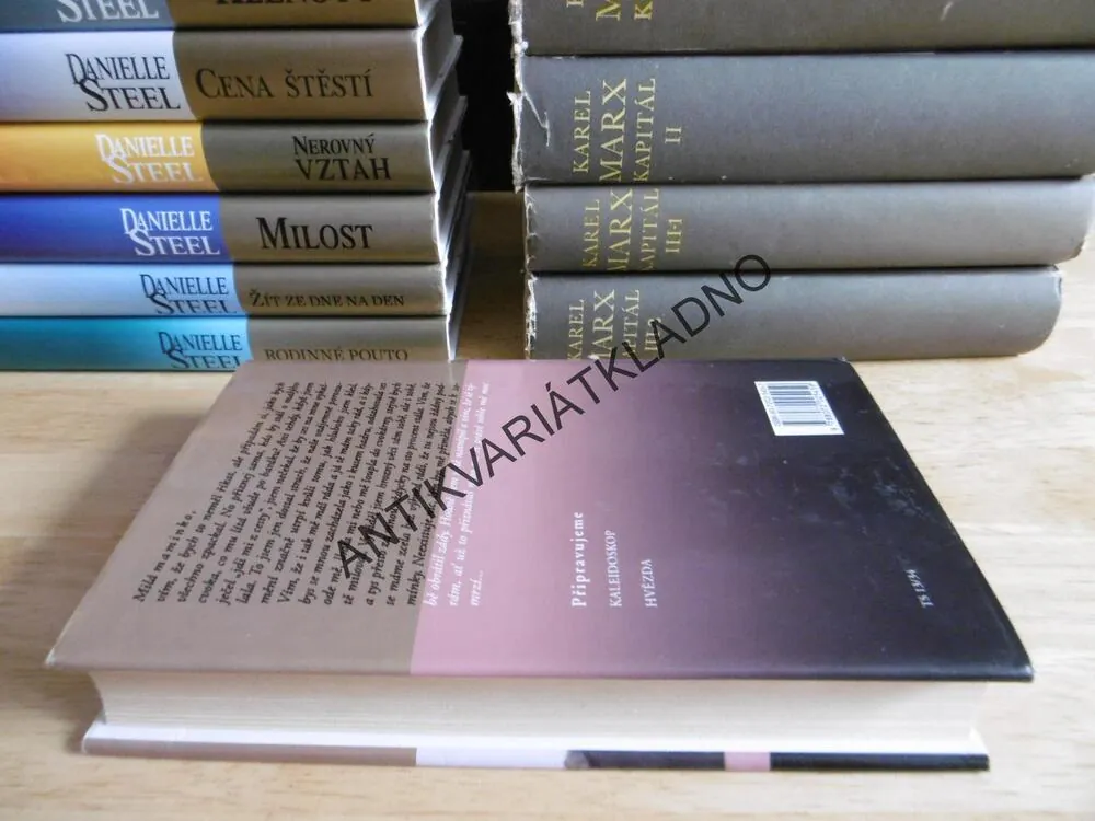 JEHO SVĚTLO, DANIELLE STEEL, **an