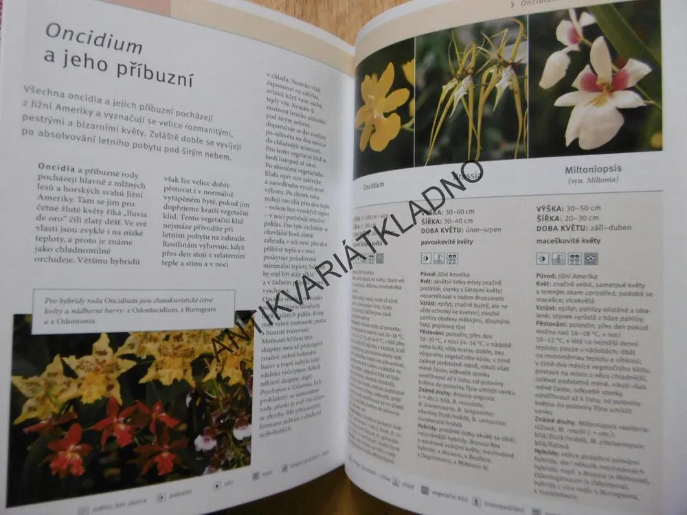 ORCHIDEJE, KROK ZA KROKEM K EXOTICKÉ KRÁSE KVĚTIN, FRANK RÖLLKE, ZAHRADA PRO RADOST