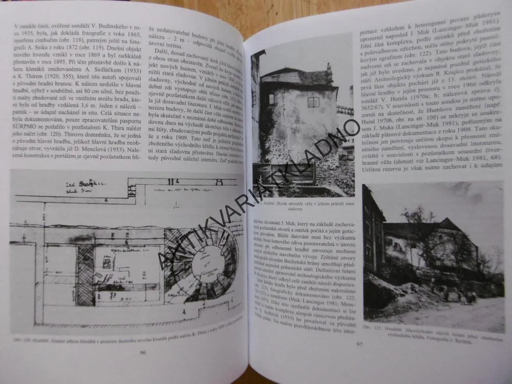 HRADY, KASTELOVÉHO TYPU 13.STOLETÍ VE STŘEDNÍ EVROPĚ, TOMÁŠ DURDÍK