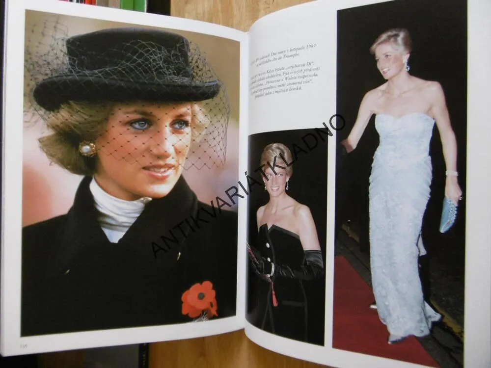 DIANA, KRÁLOVNA LIDSKÝCH SRDCÍ, MICHAEL O´MARA