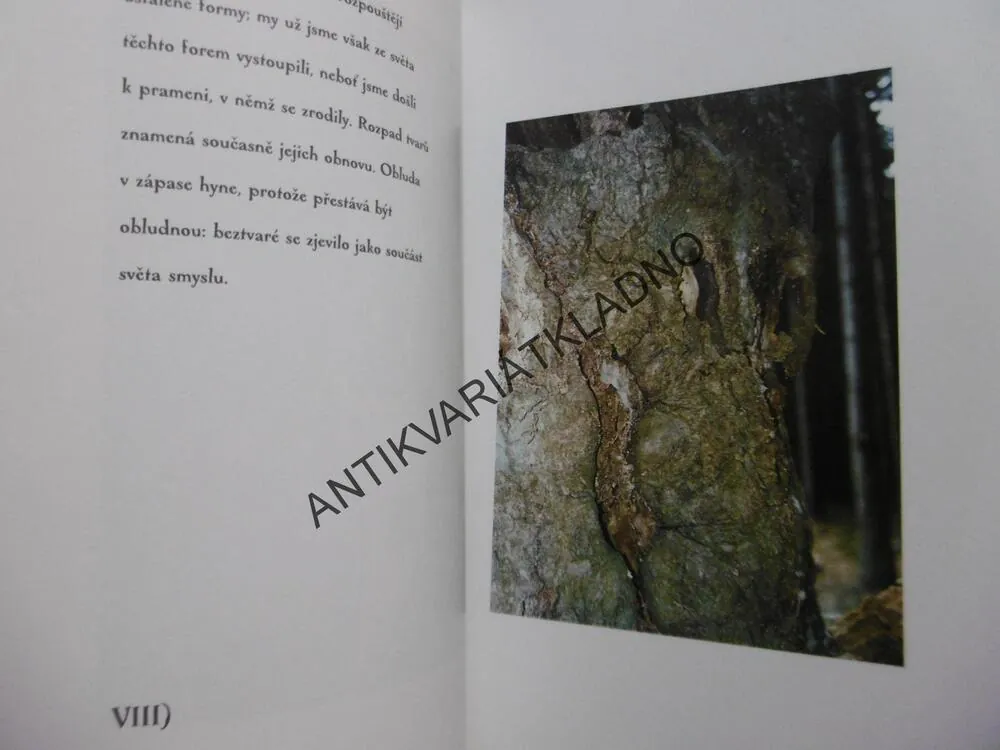 TICHÉ LABYRINTY, PETR HRUŠKA, MICHAL AJVAZ, **an