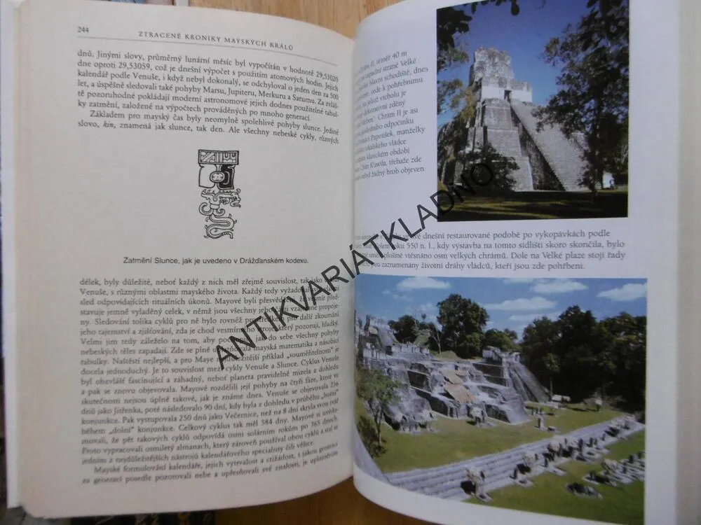 ZTRACENÉ KRONIKY MAYSKÝCH KRÁLŮ, DAVID DREW, **an