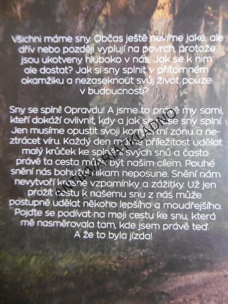 NECHCI JEN SNÍT, CHCI VZPOMÍNAT, TERKA H., TEREZA HEITELOVÁ, 2018