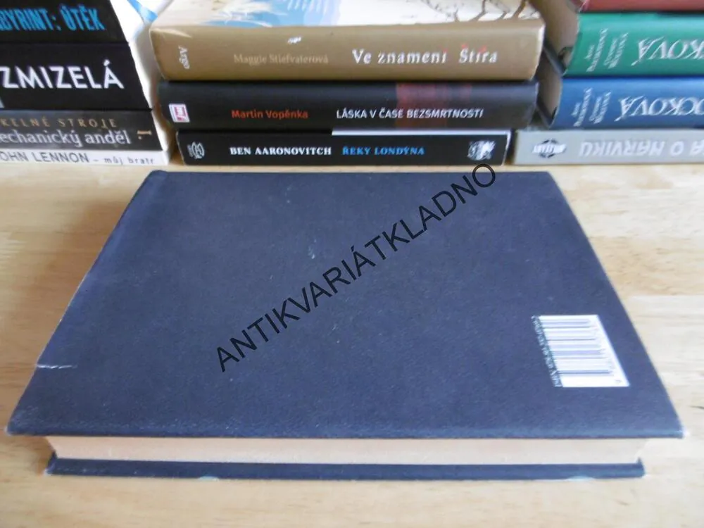 KNIHA ŠÍLENSTVÍ A LÉČBY, REGINA O´MELVENYOVÁ, **an