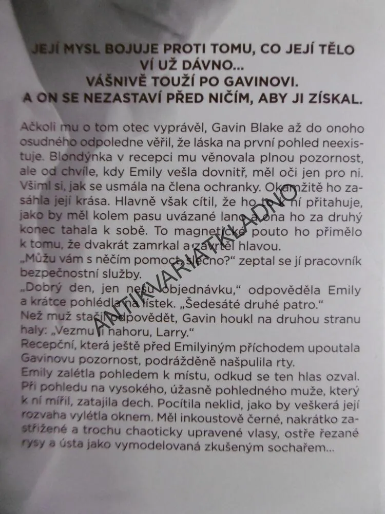 NEČEKANÉ SETKÁNÍ, GAIL MCHUGHOVÁ