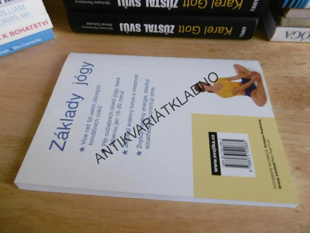 ZÁKLADY JÓGY, JÓGA, VIMLA LALVANI