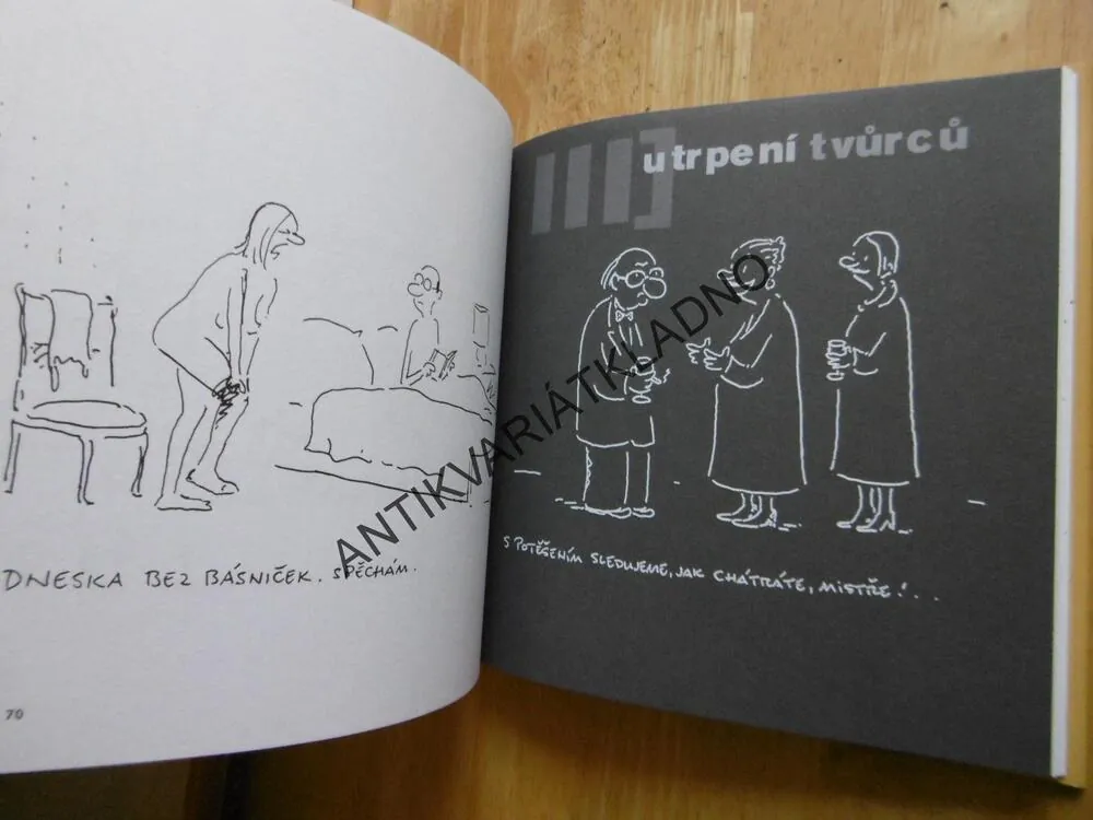 KNÍŽKA PRO KNIHOMOLY, VLADIMÍR JIRÁNEK