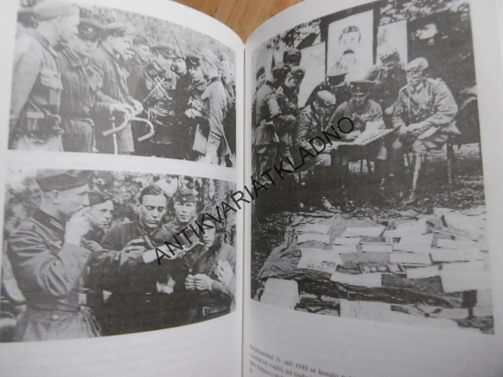 SEBEVRAŽEDNÉ SPOJENECTVÍ, OLAF GROEHLER, NĚMNECKO-SOVĚTSKÁ VOJENSKÁ SPOLUPRÁCE 1920-41, **an