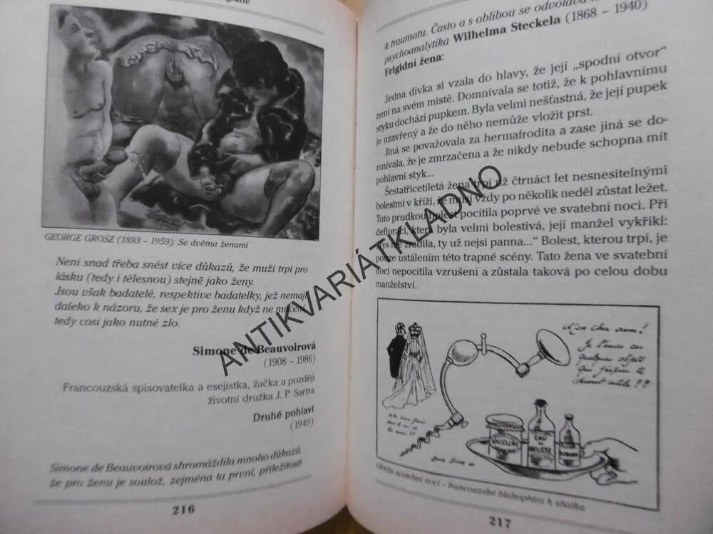 MALÉ DĚJINY PORNOGRAFIE, VÁCLAV SPÁN, **an