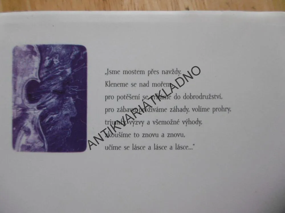 MOST PŘES NAVŽDY, RICHARD BACH