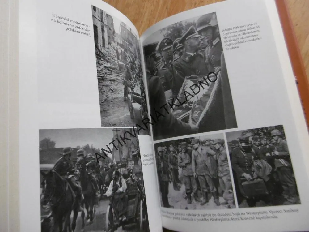 ZRAZENÉ POLSKO, DAVID G. WILLIAMSON, **an