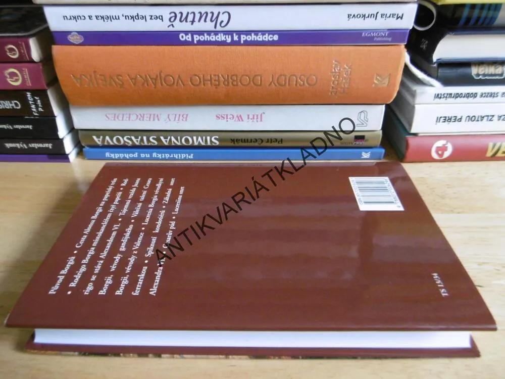 BORGIOVÉ, PŘÍBĚH RENESANČNÍ RODINY, JOACHIM BRAMBACH, **an