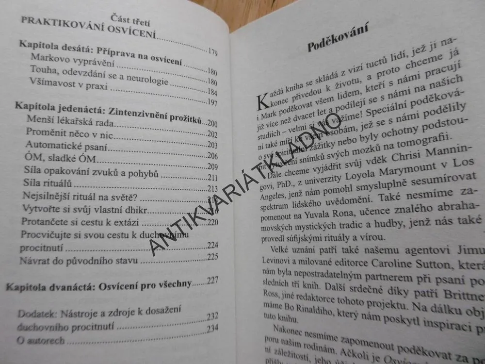 JAKÉ PROŽITKY MĚNÍ NÁŠ MOZEK, ANDREW NEWBERG, **an