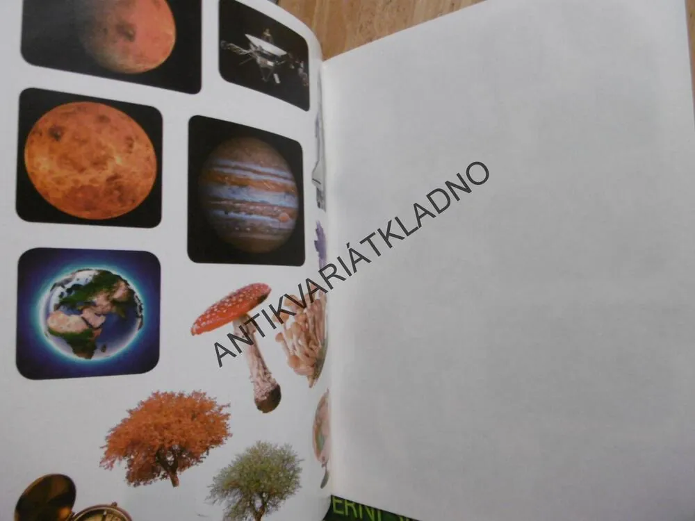 MODERNÍ ŠKOLNÍ ENCYKLOPEDIE SE SAMOLEPKAMI