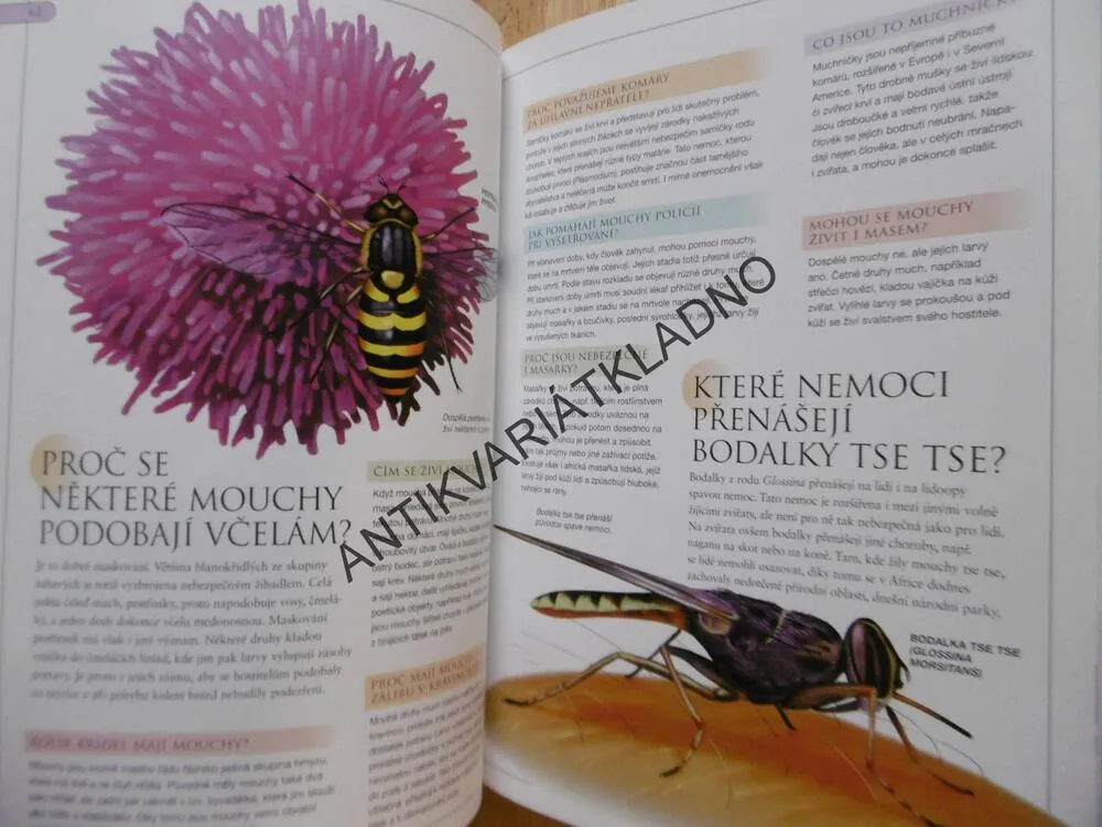 OTÁZKY A ODPOVĚDI- ZVÍŘATA,STOVKY ILUSTROVANÝCH ODPOVĚDÍ