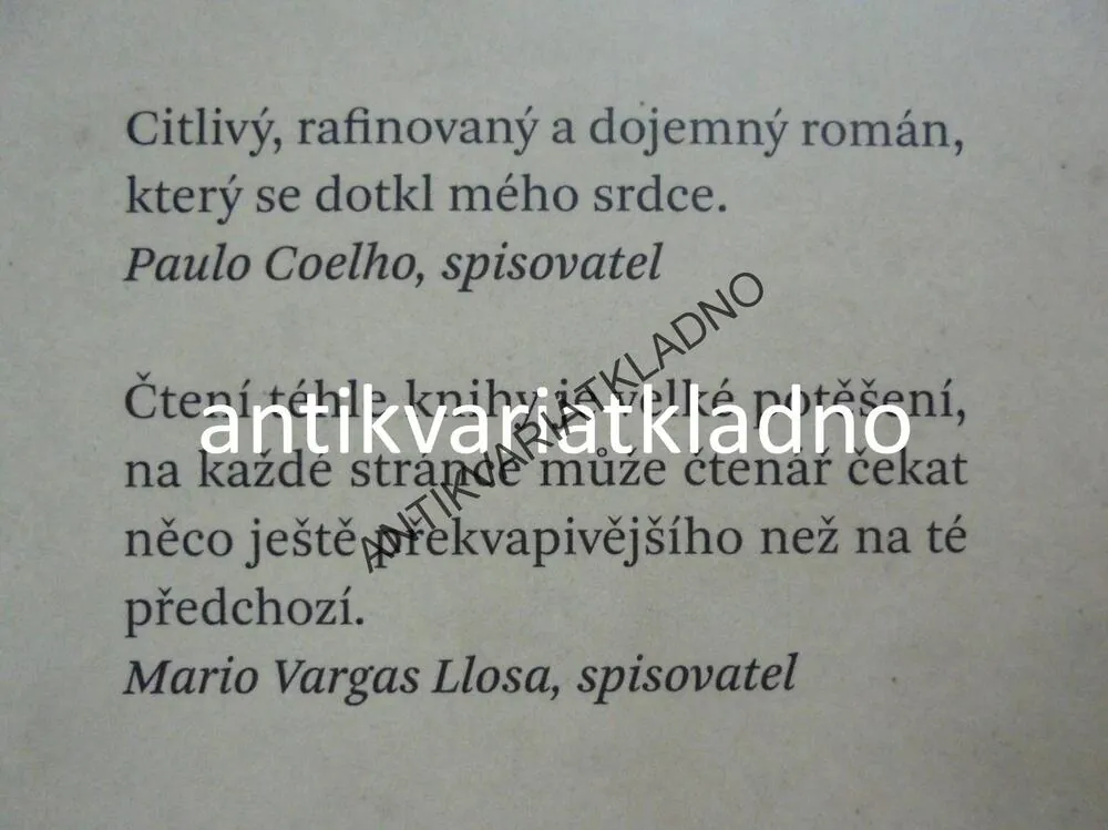 SAMOTA, NATALIO GRUESO,