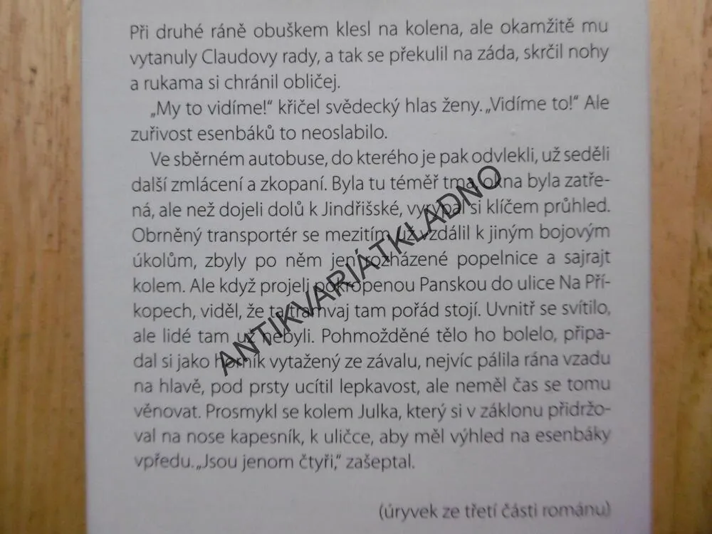 SLUNCE V ÚPLŇKU, PŘÍBĚH JANA PALACHA, LENKA PROCHÁZKOVÁ, **an