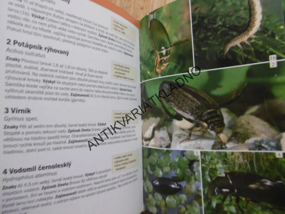 POZNÁVÁME ZVÍŘATA A ROSTLINY U VODY, HECKER, PRŮVODCE PŘÍRODOU, 140 DRUHŮ, **an