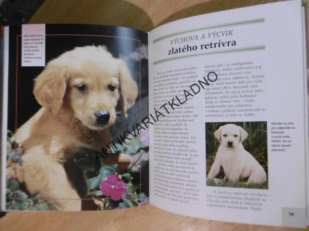 ZLATÝ RETRÍVR, NONA KILGORE BAUEROVÁ, **an