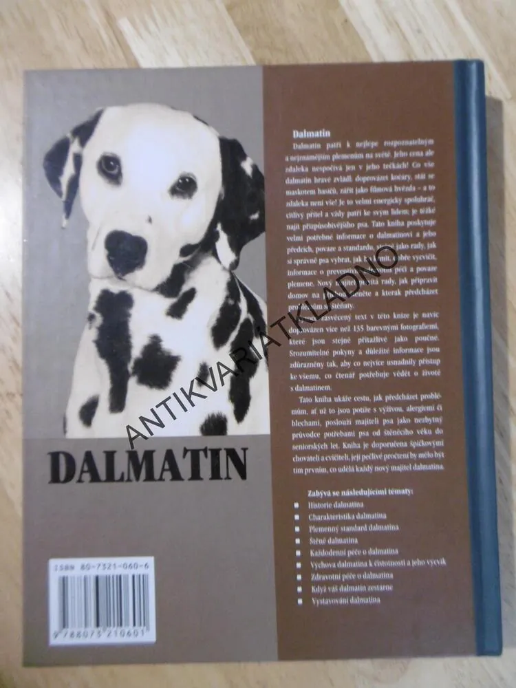 DALMATIN, FRANCES CAMPOVÁ, **an