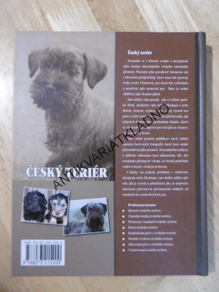 ČESKÝ TERIÉR, HANA PETRUSOVÁ, **an