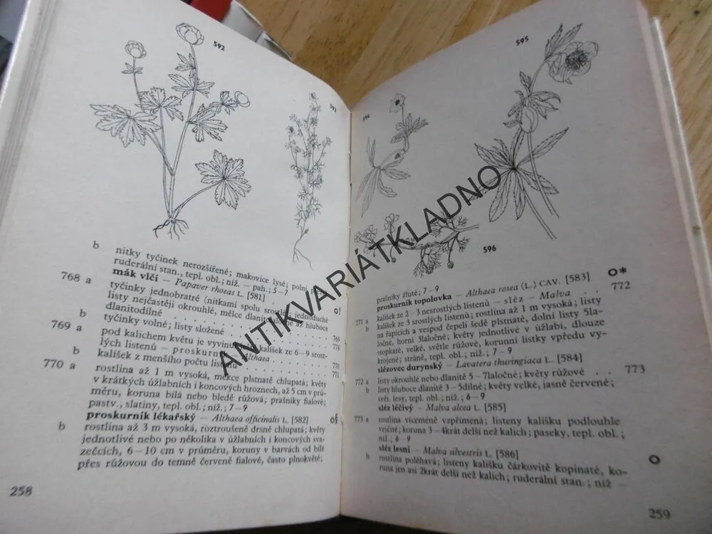 BOTANICKÝ KLÍČ, FAUSTUS, POLÍVKA,BOTANIKA, **an