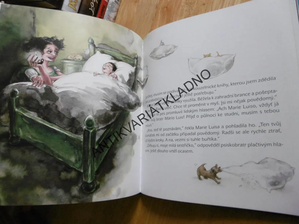 POHÁDKY ČTYŘ VĚTRŮ, LUDVÍK AŠKENAZY, ADÉLA JANÍKOVÁ, 2006, **an