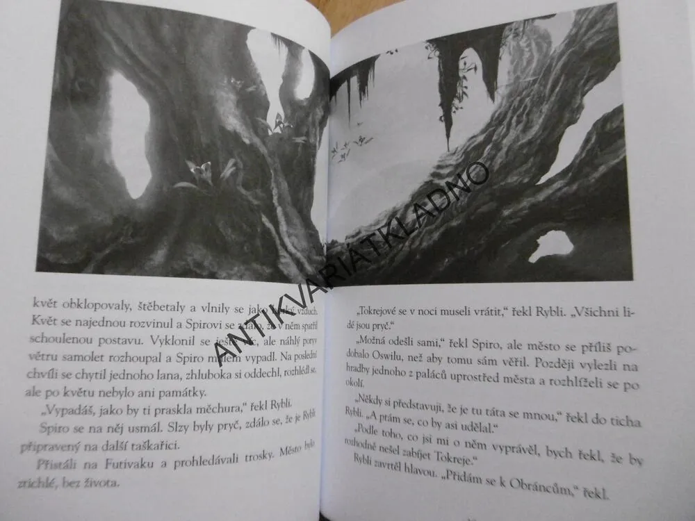 POSLEDNÍ Z APORVERU, DAVID ŠENK, **an