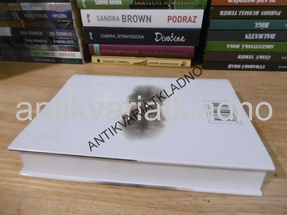PYTEL KOSTÍ, STEPHEN KING, **an