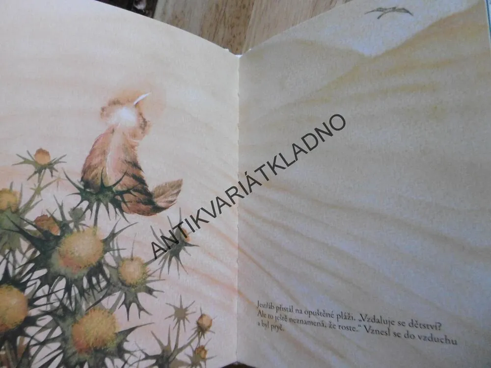 NIKDO NENÍ DALEKO, RICHARD BACH, MARINA RICHTEROVÁ