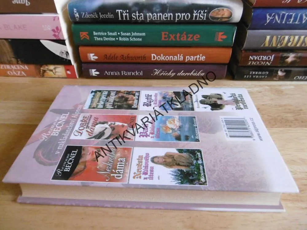 SVŮDNÁ DÁMA, REXANNE BECNEL, **an