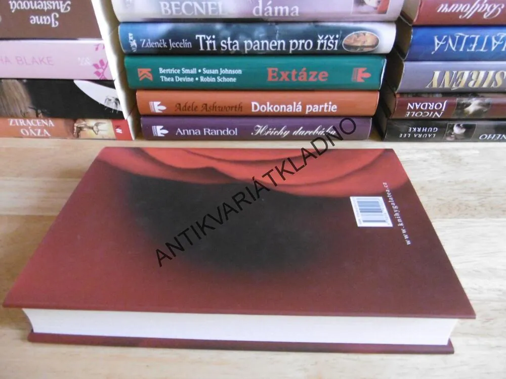 MŮJ HŘÍŠNÝ MARKÝZ, GAELEN FOLEY, **an