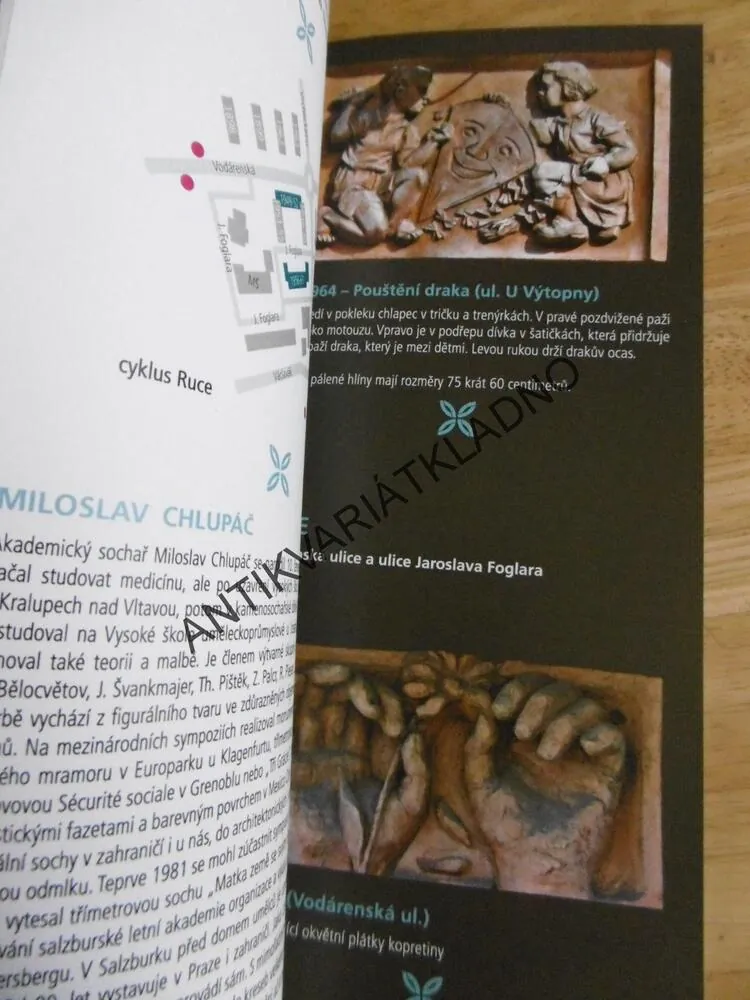 DOMY JAKO GALERIE, JAROSLAV VYKOUK, JAROSLAV VYŠÍN, **an