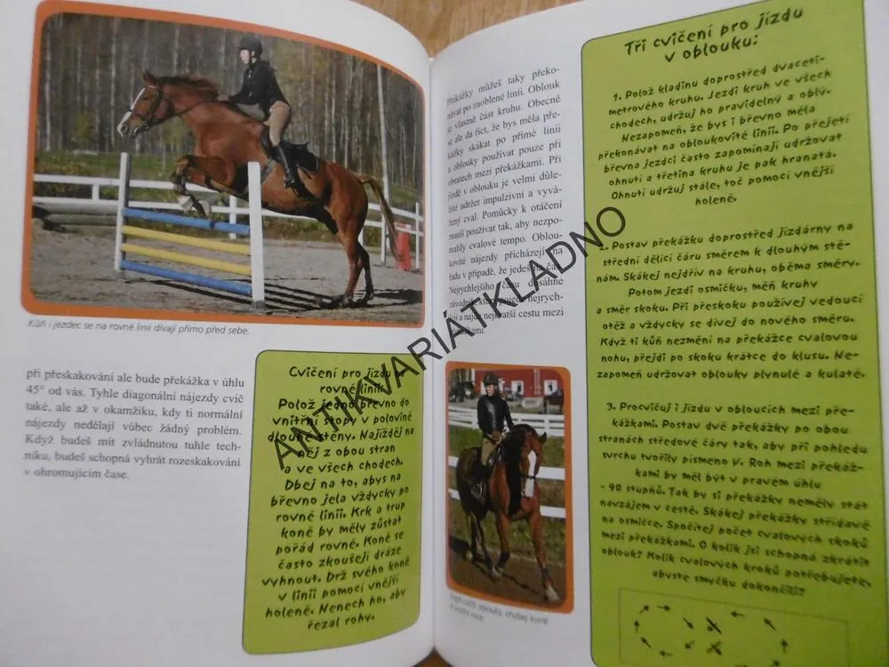 PARKUROVÉ SKÁKÁNÍ, TIINA VAINIKAINEN, **an