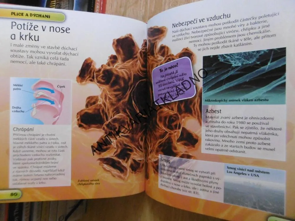 LIDSKÉ TĚLO, DĚTSKÁ ENCYKLOPEDIE, **an