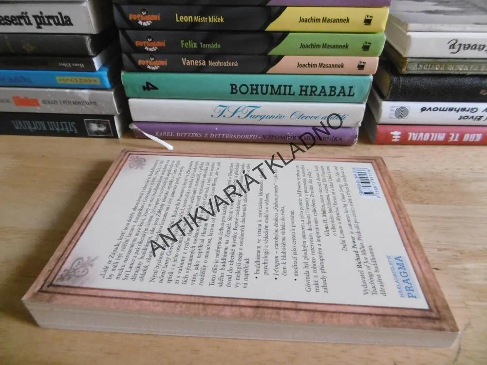 ZTRACENÉ UČENÍ LAMY GÓVINDY, ŽIVÁ MOUDROST MODERNÍHO TIBETSKÉHO MISTRA, RICHARD POWER