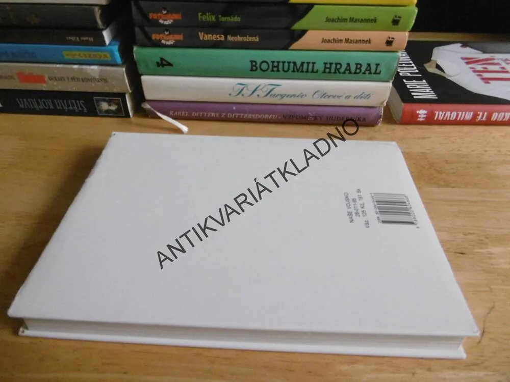 DVOJÍ ŽIVOT HELENY GRAHAMOVÉ, ANNE BRONTËOVÁ,