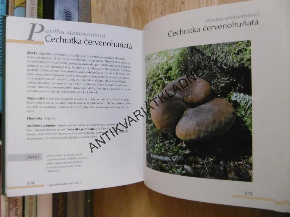 HOUBY, URČOVÁNÍ, SBĚR,**an