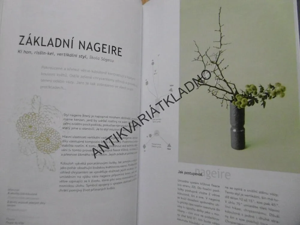 IKEBANA TVORBA KROK ZA KROKEM, CARTON, DIAS