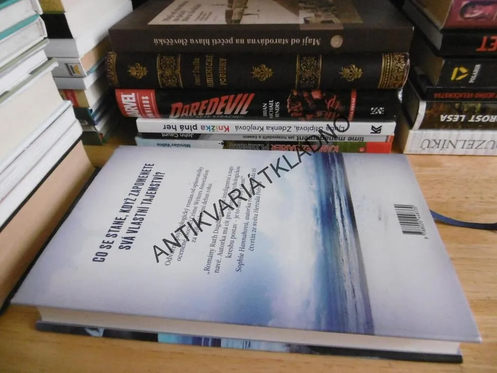 MÁ SESTRA A DALŠÍ LHÁŘI, RUTH DUGDALLOVÁ, **an