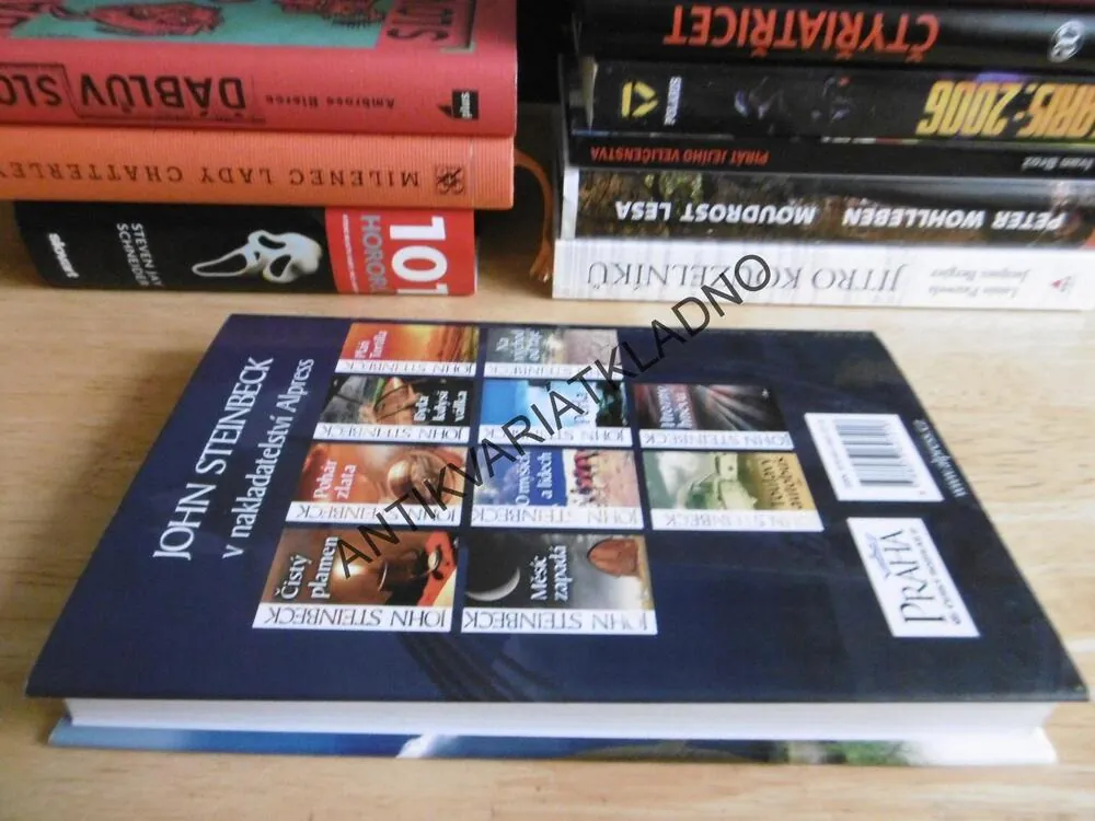 NEZNÁMÉMU BOHU, JOHN STEINBECK, **an