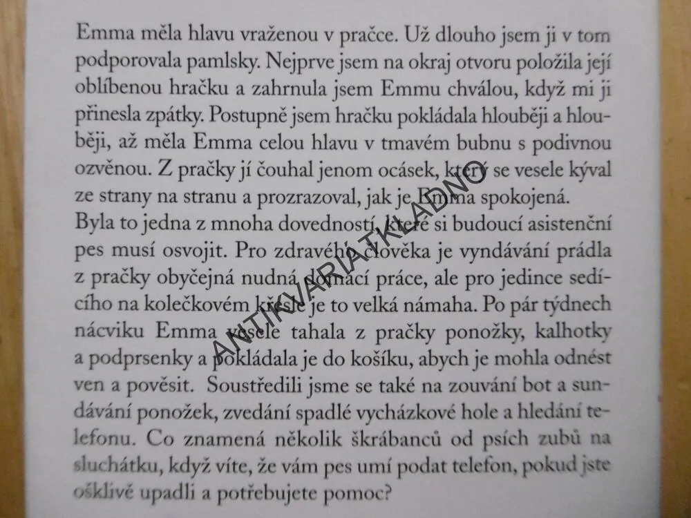 ŠTĚNĚ K VÁNOCŮM, MEGAN RIXOVÁ, **an