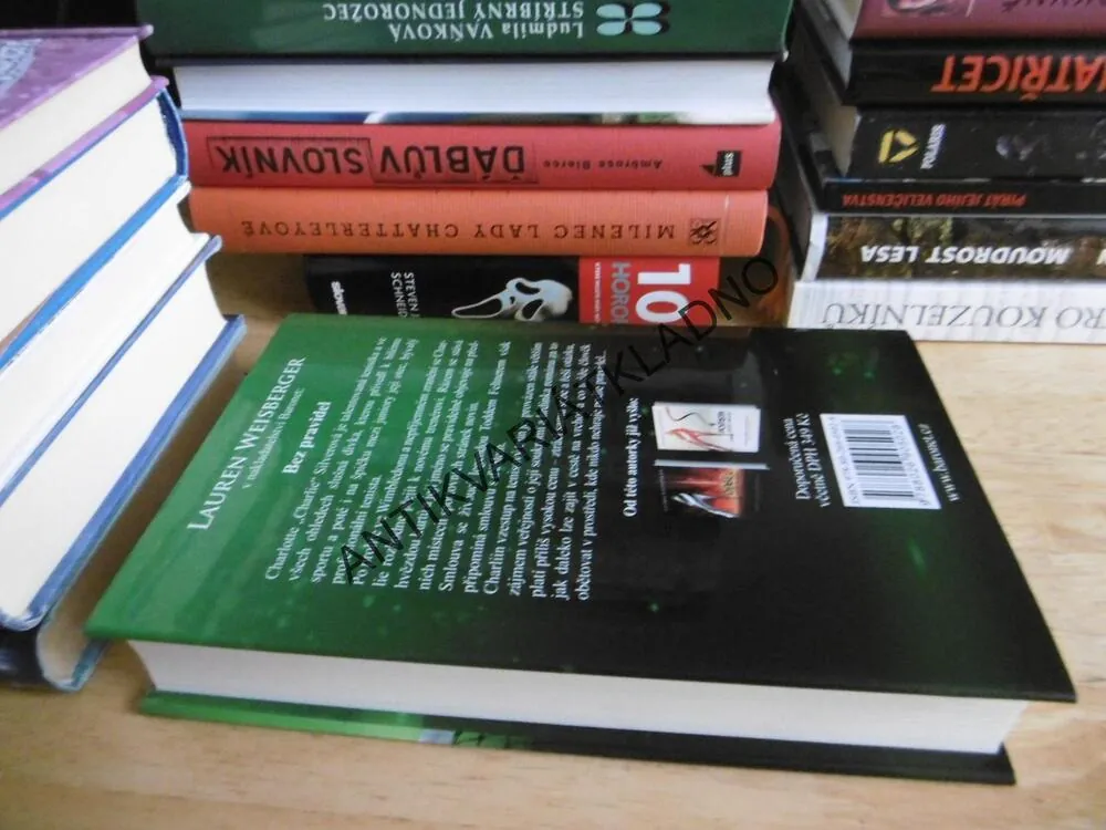 BEZ PRAVIDEL, LAUREN WEISBERGEROVÁ, **an